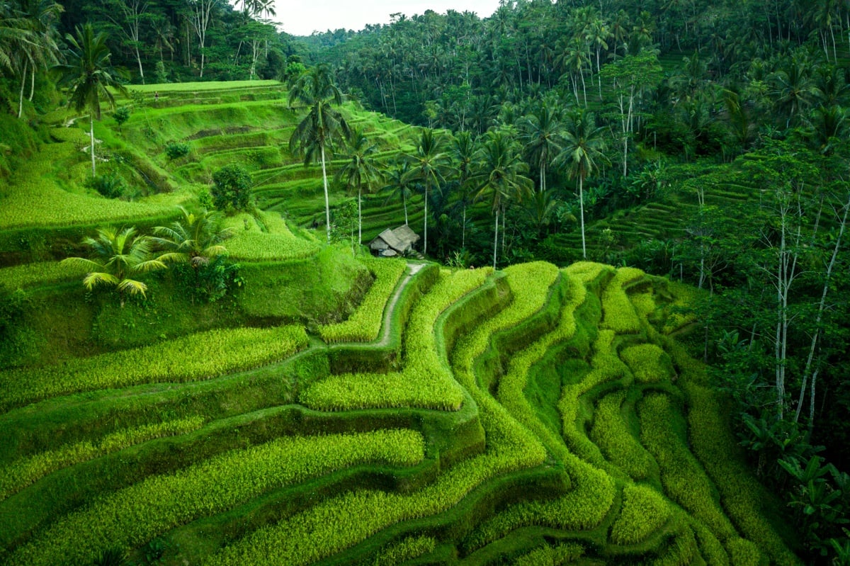 Trip image